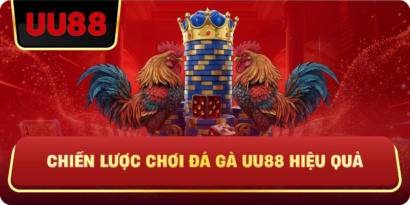 Chiến Lược Chơi Đá Gà Uu88 Hiệu Quả