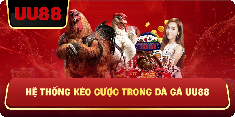 Hệ Thống Kèo Cược Trong Đá Gà Uu88