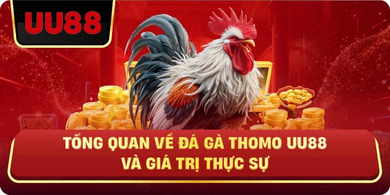Tổng Quan Về Đá Gà Thomo Uu88 Và Giá Trị Thực Sự